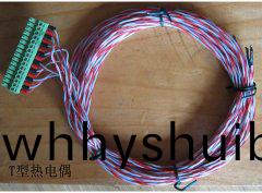 T型(xing)熱電偶